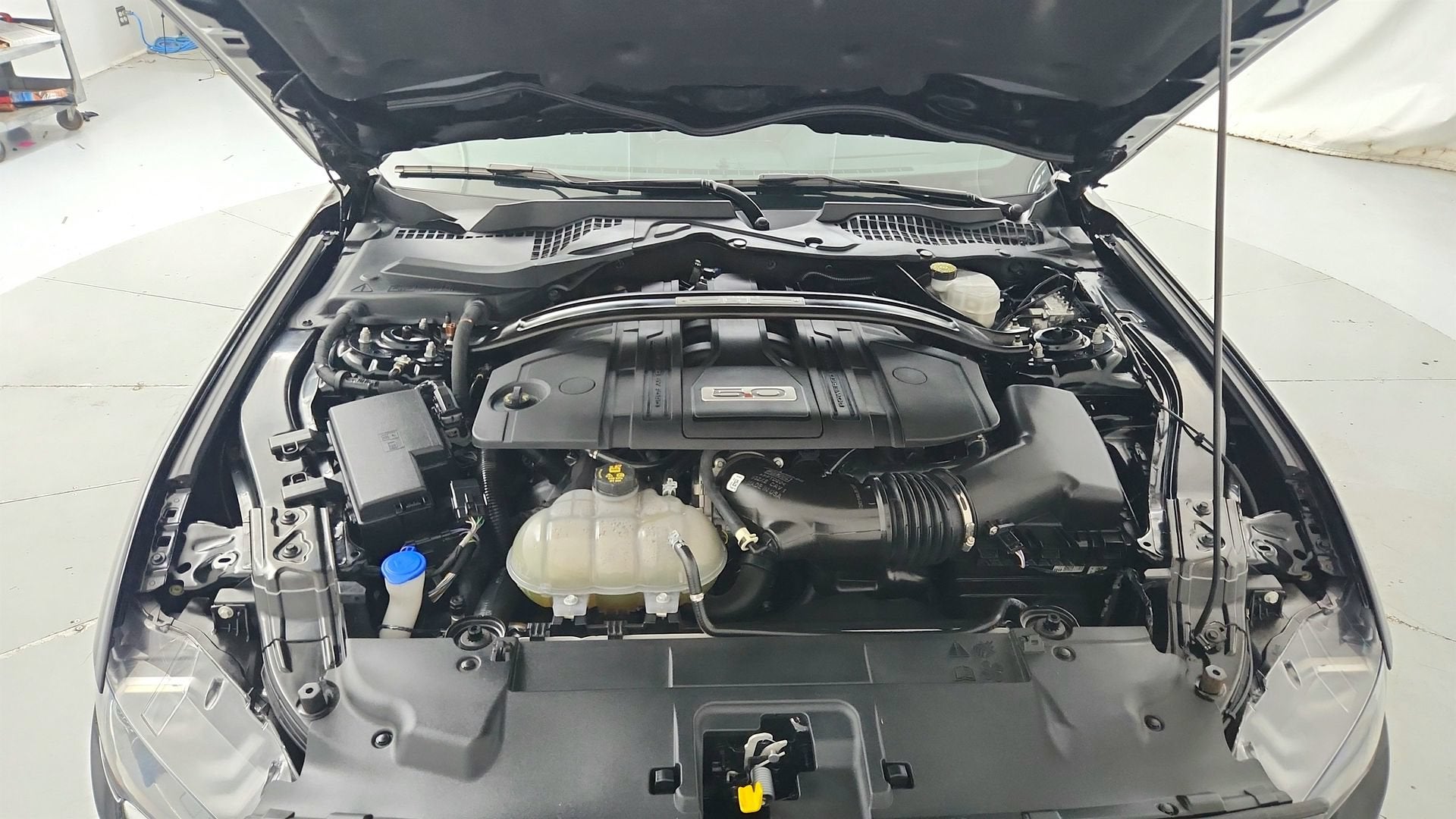 2021 Ford Mustang GT Premium Fastback